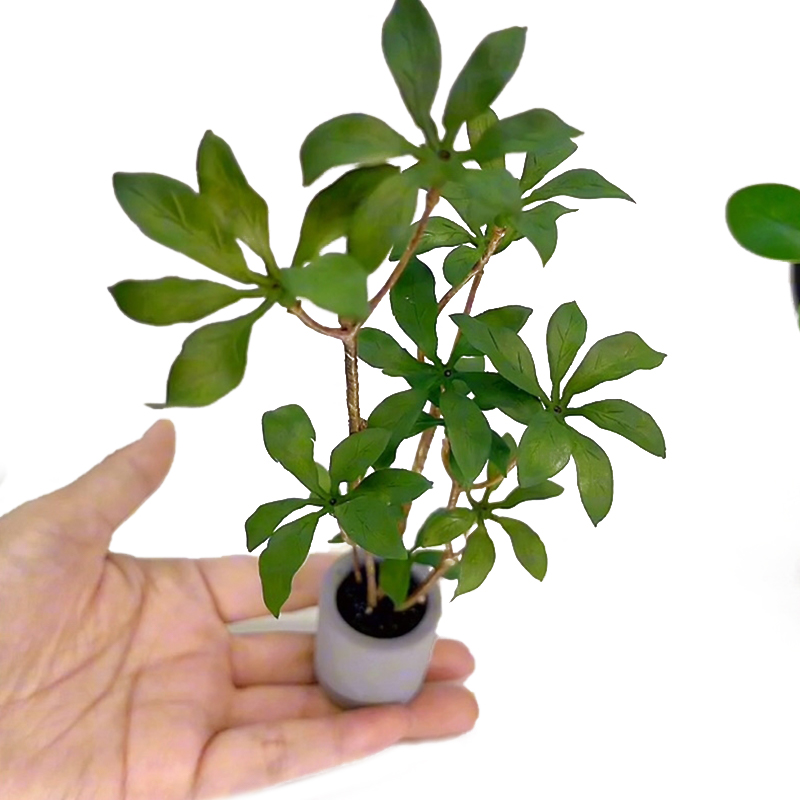 Bonsai Garden For Home - 1:6 Poppenhuis Miniatuur Potplanten Model Groenbladige