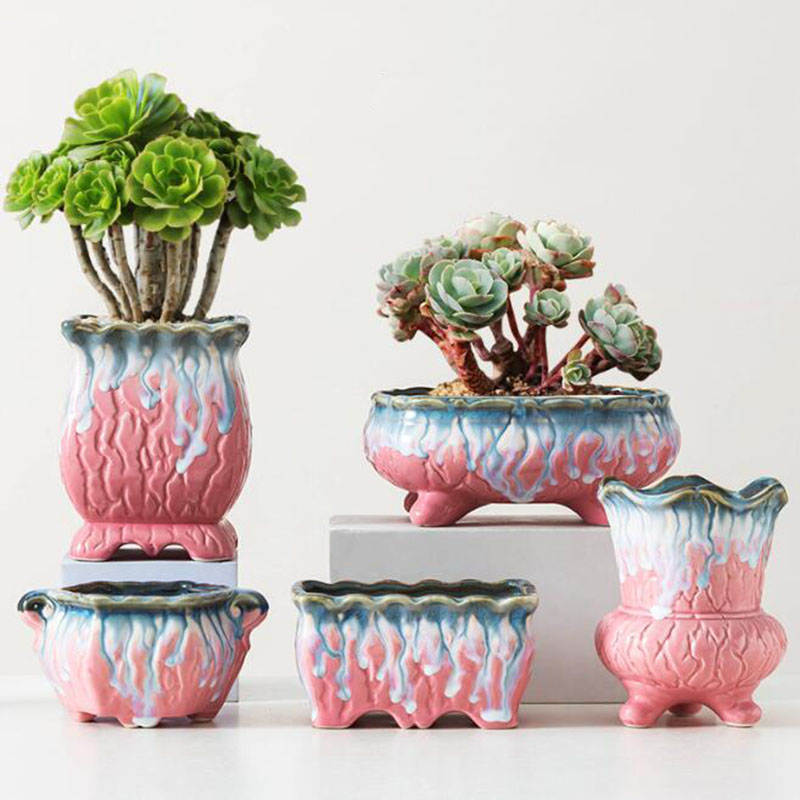 Bonsai Tree Zen Garden - Creatieve Geglazuurde Bloempot Sappige Plant Pot