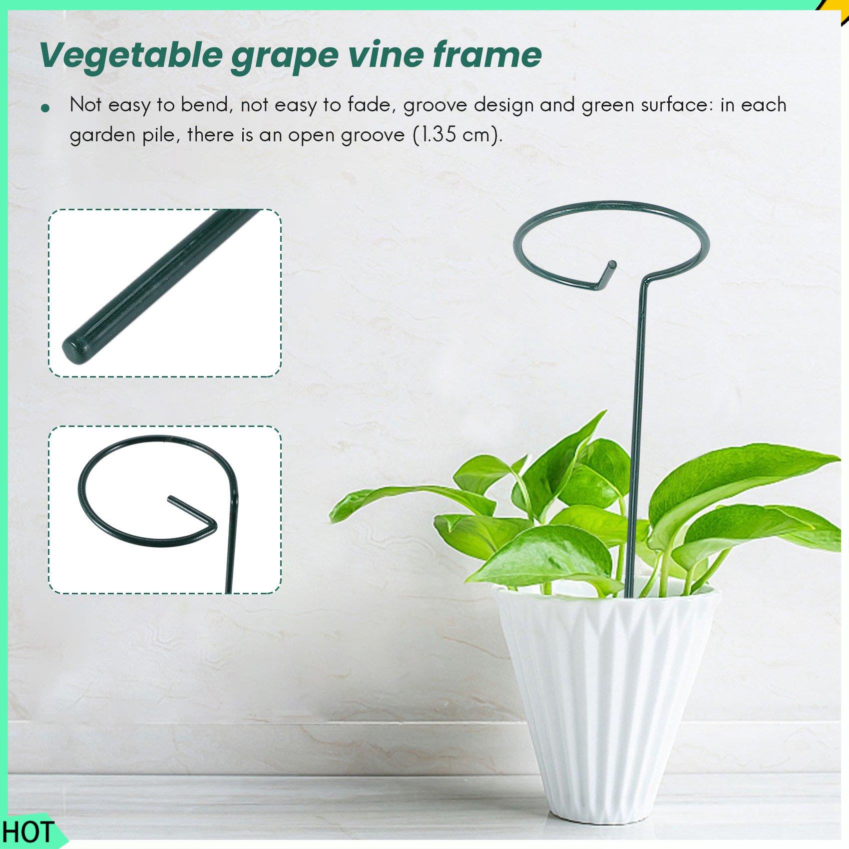 Bonsai Garden Backyard - AWAH 8 STKS Mooie Plant Ondersteuning