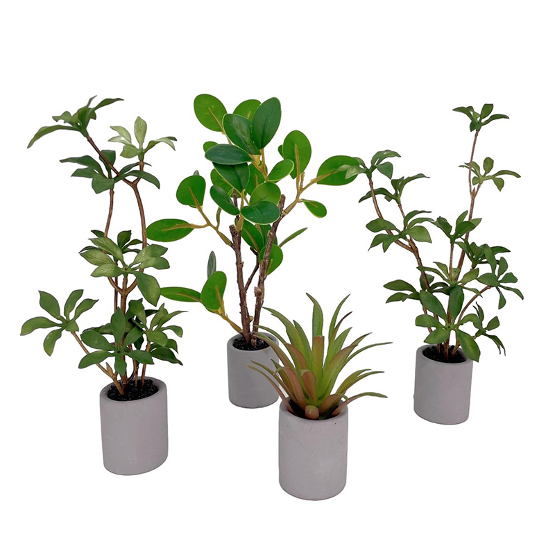 Bonsai Garden For Home - 1:6 Dollhouse Miniatuur Potplant Groenbladige Plant