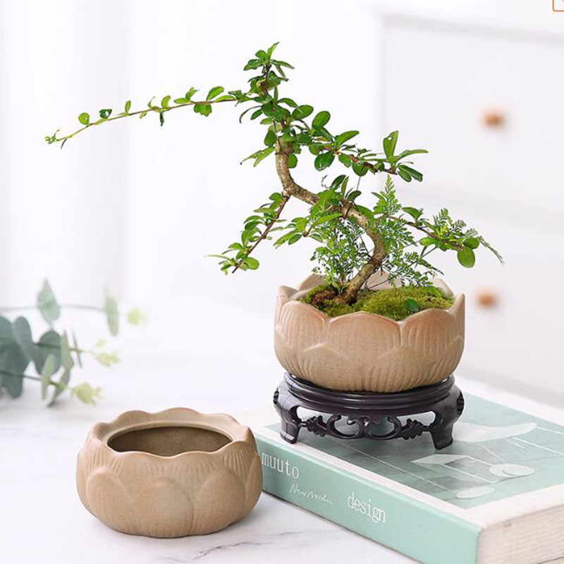 Bonsai Garden Art - Grof Aardewerk Lotus Groene Plant Pot