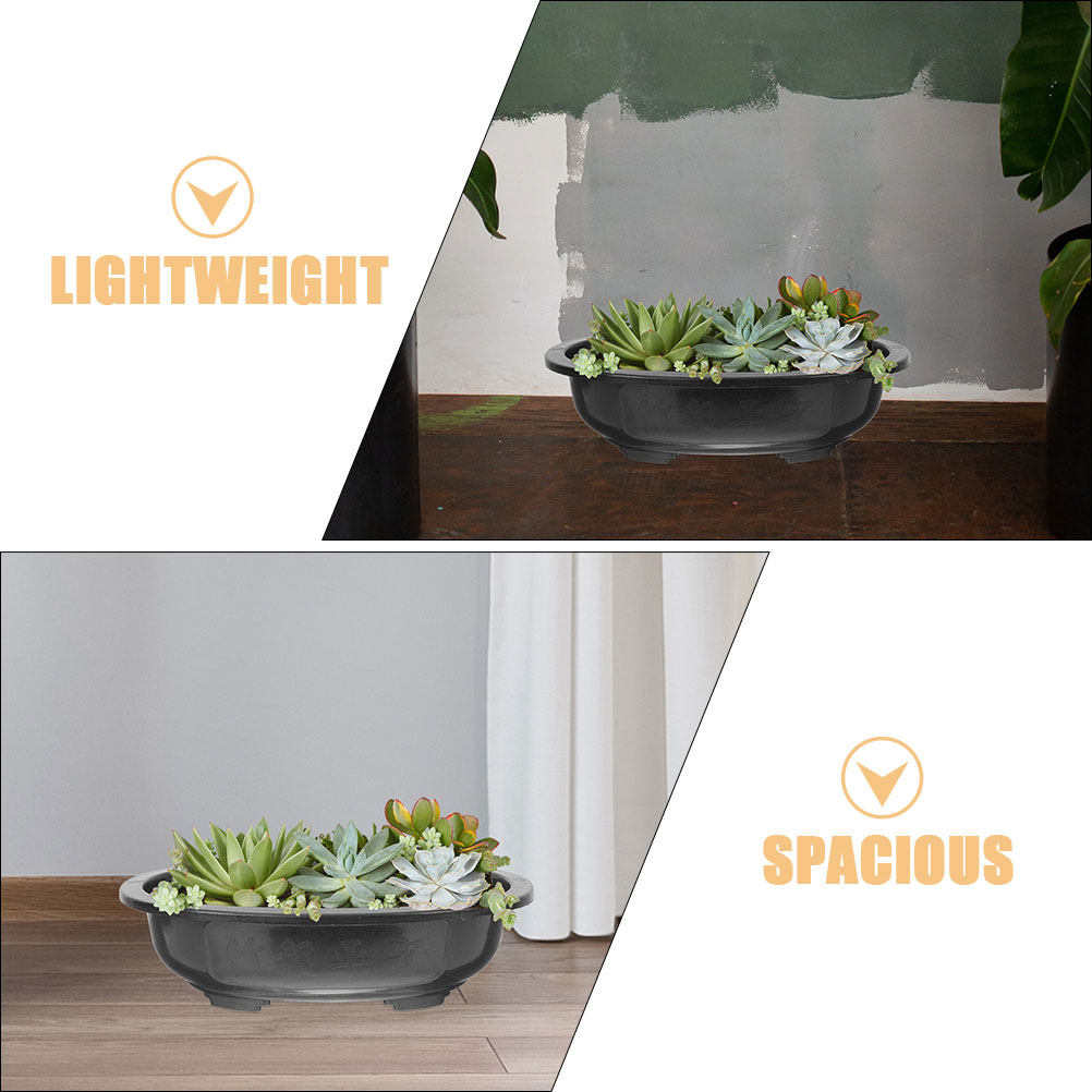 3 stuks extra grote ovale bons - Bonsai Garden Nursery recensie en prijs