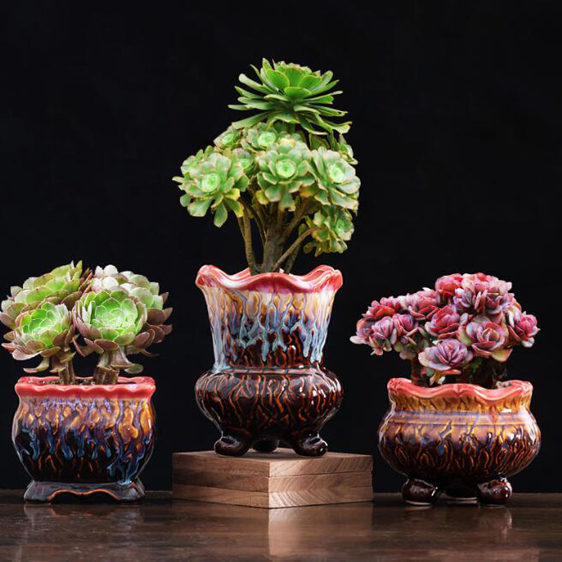 Creatieve Geglazuurde Bloempot - Bonsai Tree Zen Garden recensie en prijs