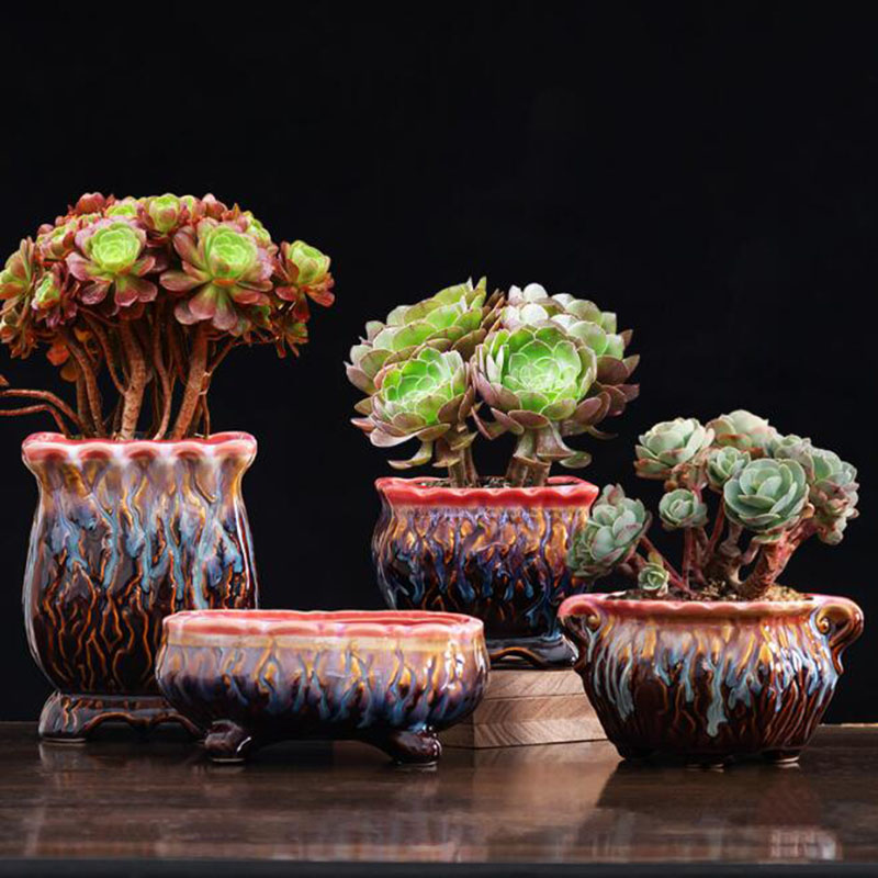 Creatieve Geglazuurde Bloempot - Bonsai Tree Zen Garden recensie en prijs