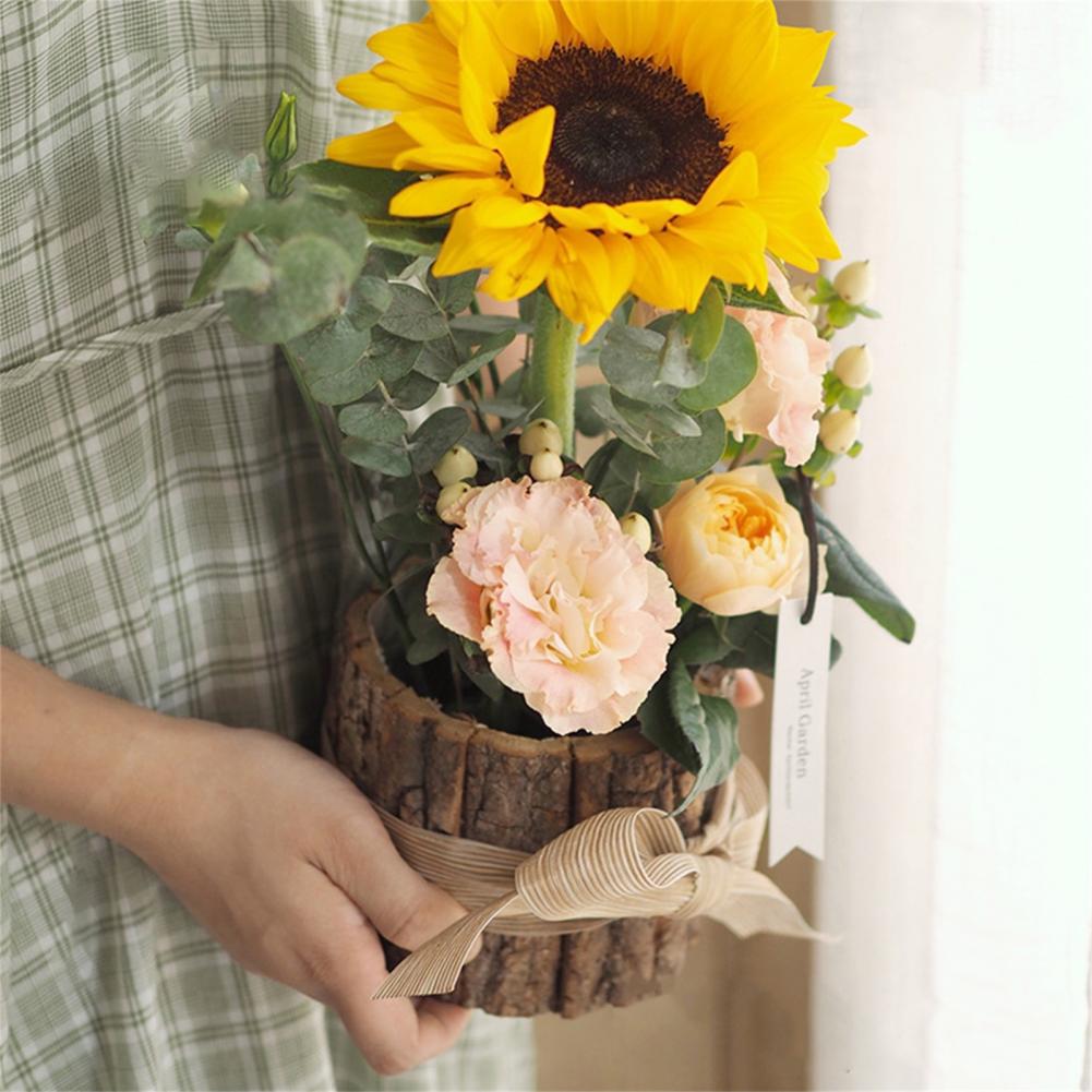 Creatieve Bloempot Vintage Pla - Bonsai Tree Zen Garden recensie en prijs