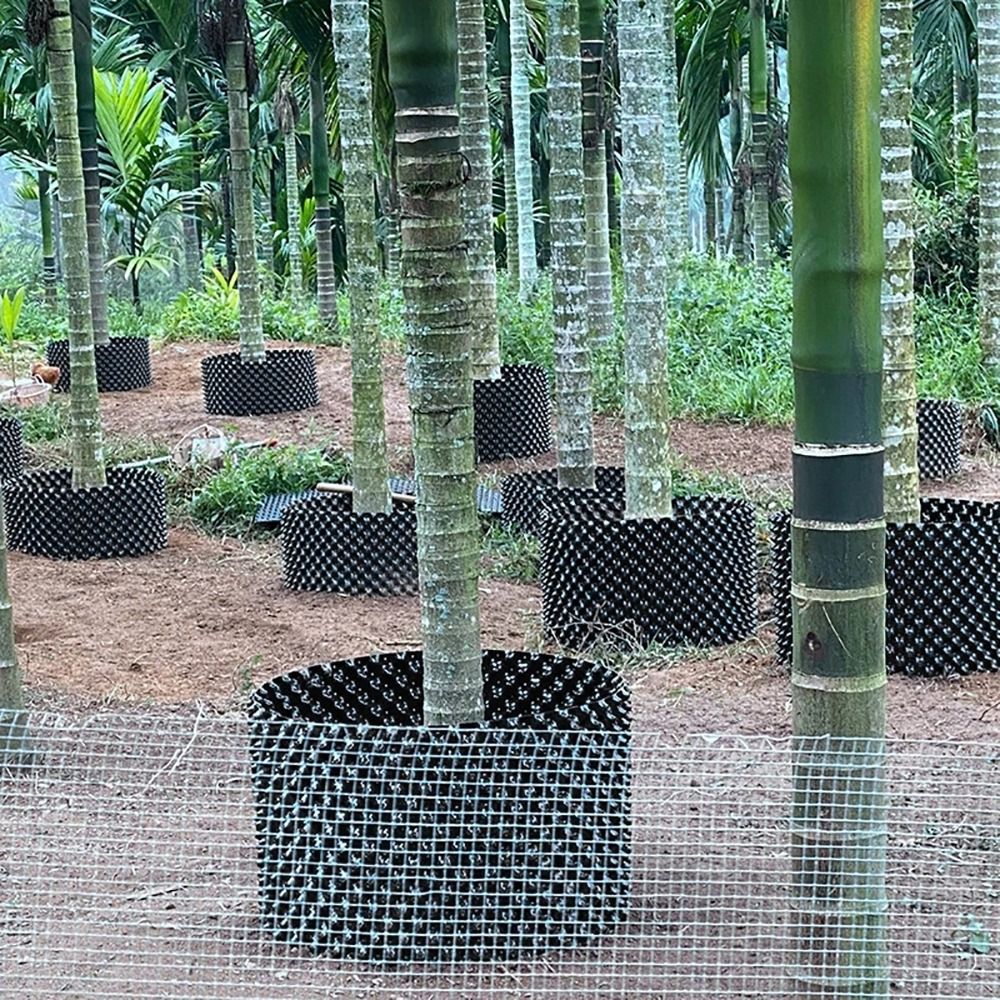 1Set Duurzame Snelle Kweekpot  - Bonsai Garden Nursery recensie en prijs