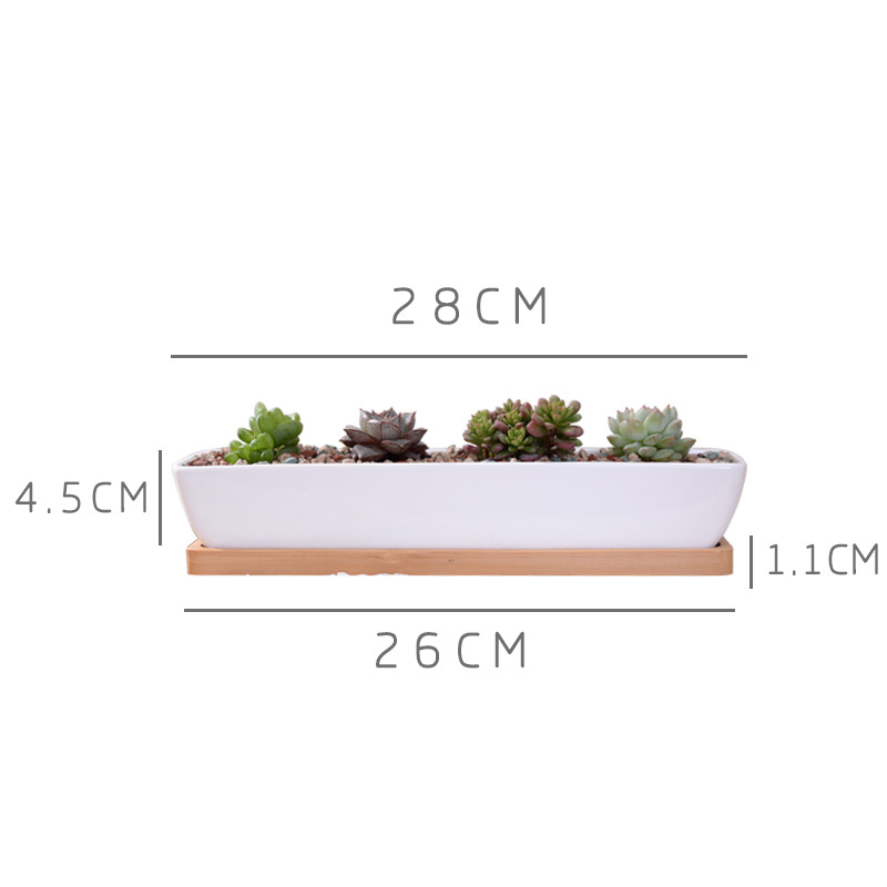 Lange rechthoekige witte keram - Bonsai Tree Zen Garden recensie en prijs