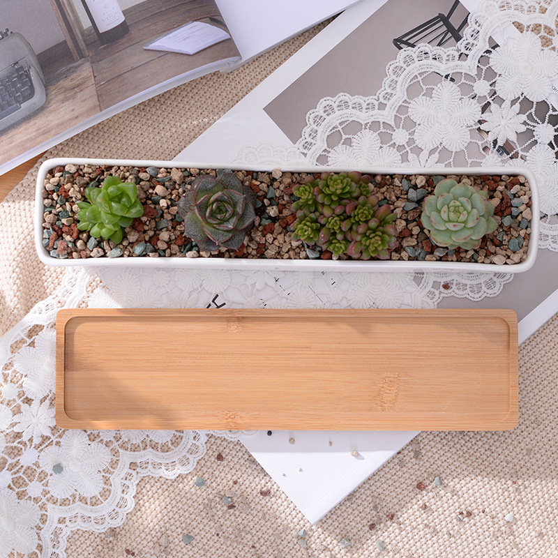 Lange rechthoekige witte keram - Bonsai Tree Zen Garden recensie en prijs