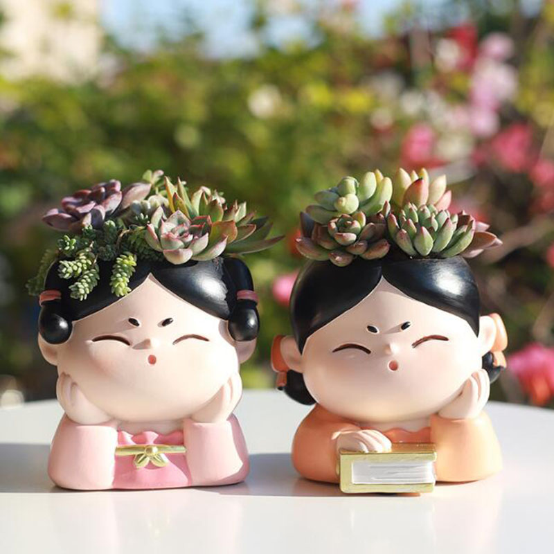 Hars Tang-dynastie Dame Kweker - Bonsai Garden Nursery recensie en prijs