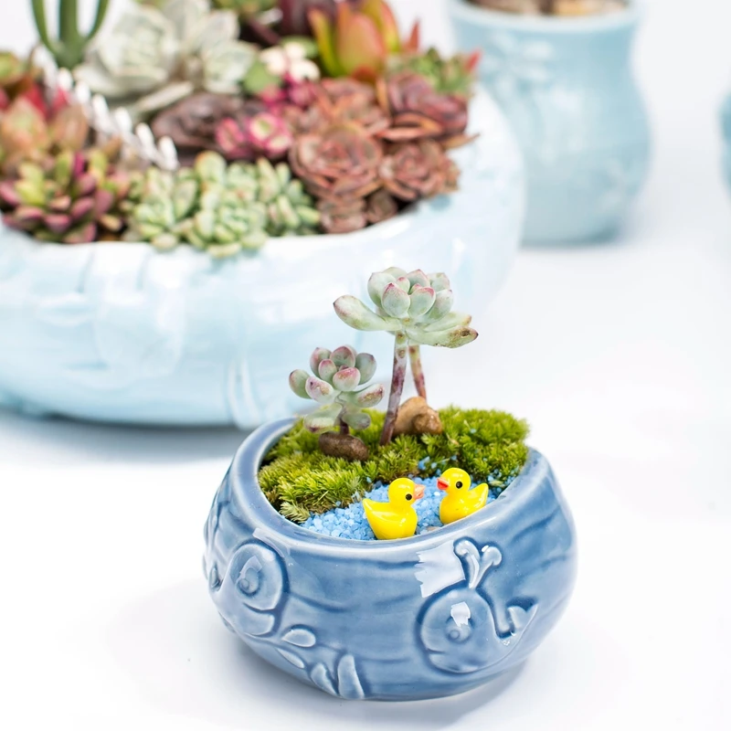 Europese Stijl Leuke Vlezige B - Bonsai Tree Zen Garden recensie en prijs