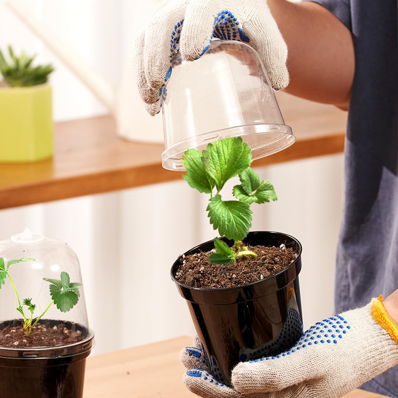 Kweekpotten Bloempotten Tuinie - Bonsai Garden Nursery recensie en prijs
