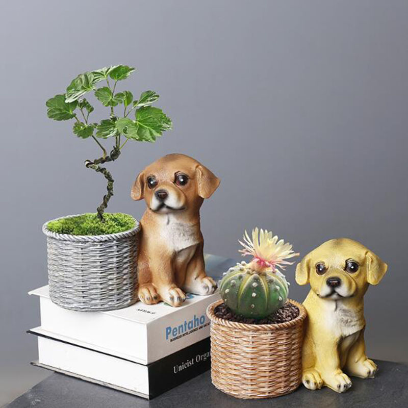 Huishoudelijke Woonkamer Kanto - Bonsai Garden Art recensie en prijs