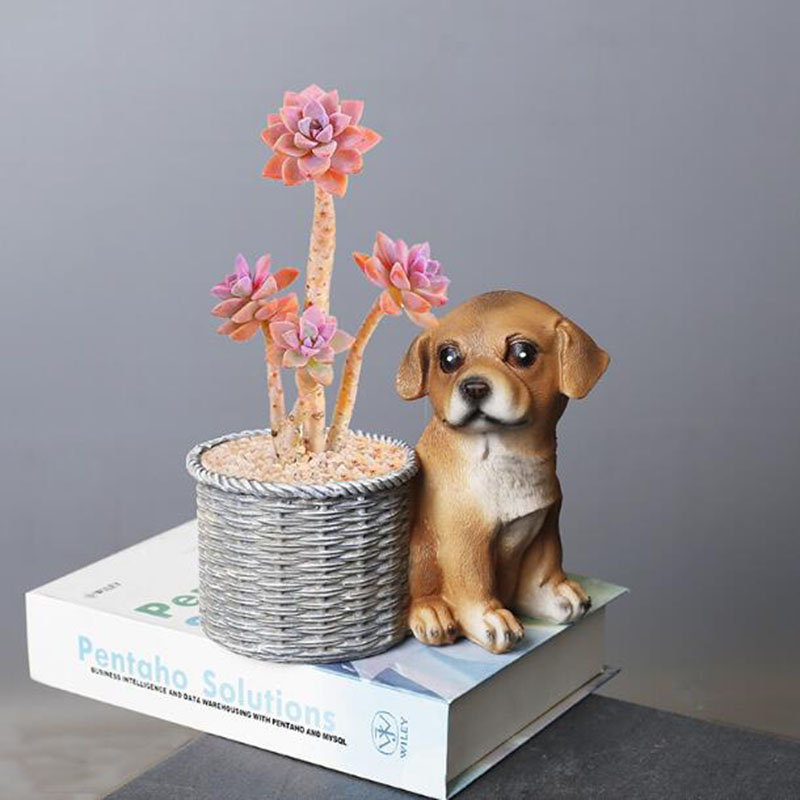 Huishoudelijke Woonkamer Kanto - Bonsai Garden Art recensie en prijs