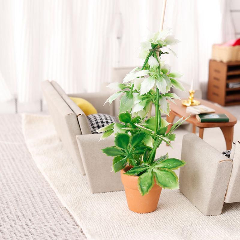 1/12 Poppenhuis Simulatie Groe - Bonsai Garden Usa recensie en prijs