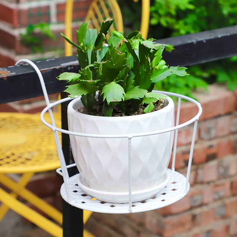 1PC Tuinpotten Buiten Raam Bon - Bonsai Garden Art recensie en prijs
