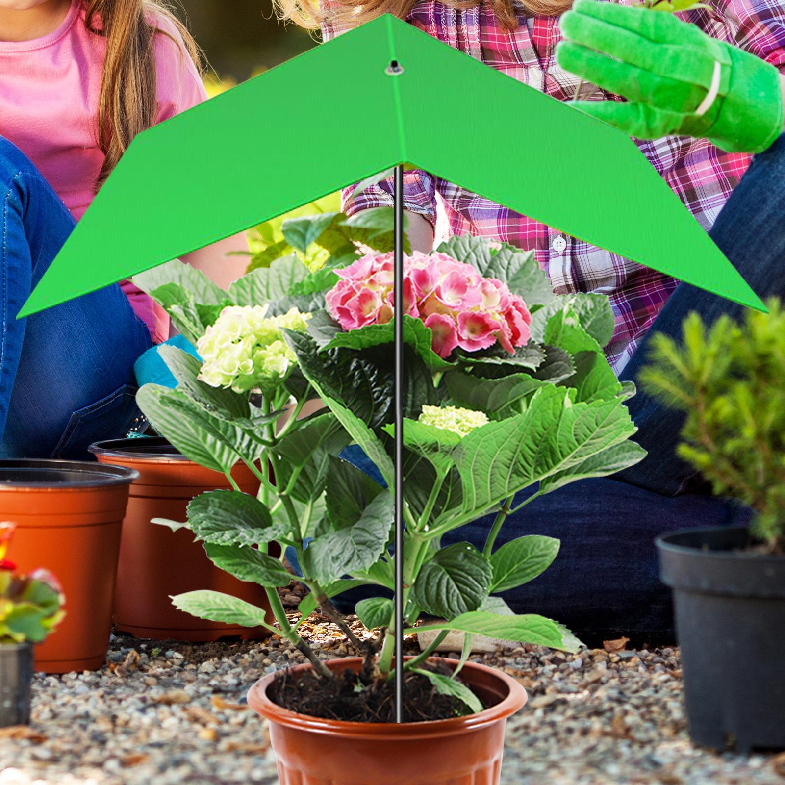 Plantenparaplu Anti-UV Warmter - Bonsai Garden Backyard recensie en prijs