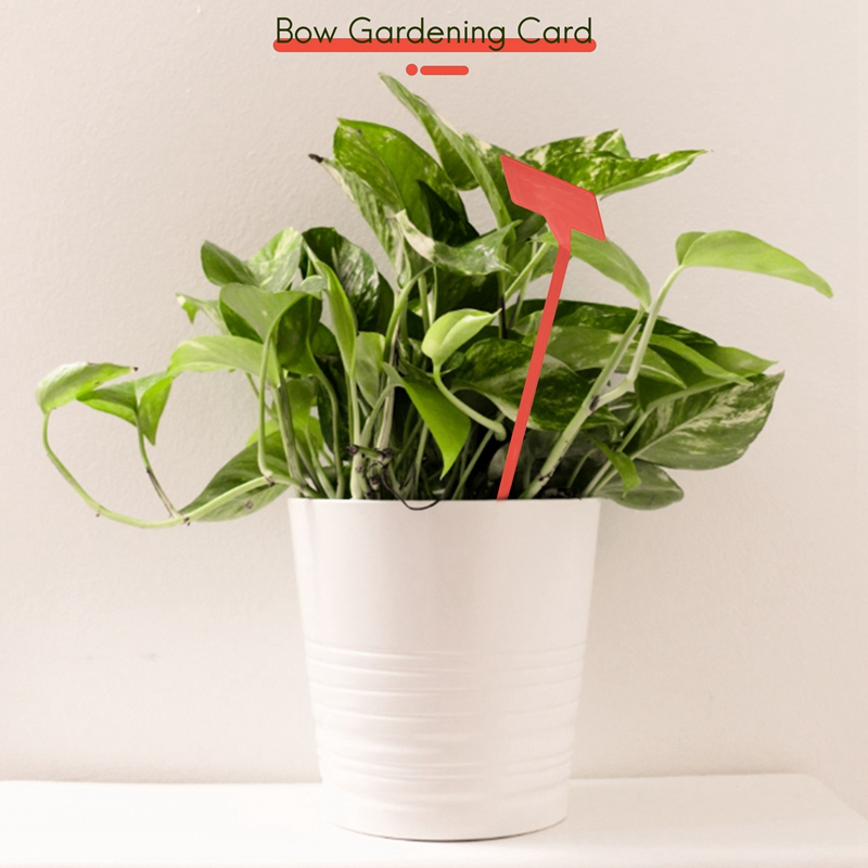 ABYP Tuinen Plantgereedschap 5 - Bonsai Garden Nursery recensie en prijs