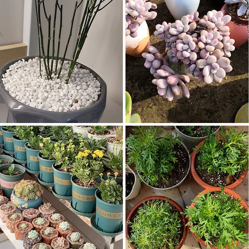 1L/2L Perliet Pellet Configure - Bonsai Garden Nursery recensie en prijs