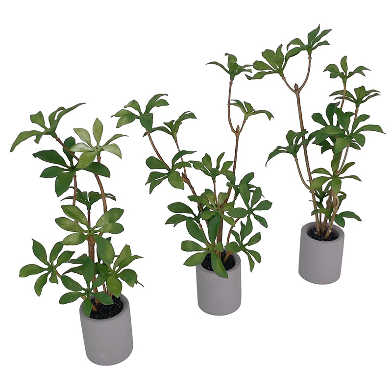1:6 Dollhouse Miniatuur Potpla - Bonsai Garden For Home recensie en prijs