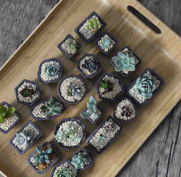 Yixing Paars Zand Bloempot Min - Bonsai Tree Zen Garden recensie en prijs