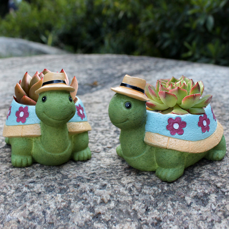 Cartoon Dier Succulente Bloemp - Bonsai Tree Zen Garden recensie en prijs