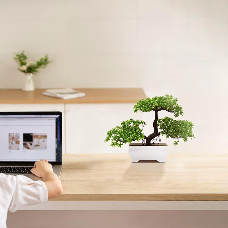 Kunstmatige Bonsai Plastic Bio - Bonsai Garden For Home recensie en prijs