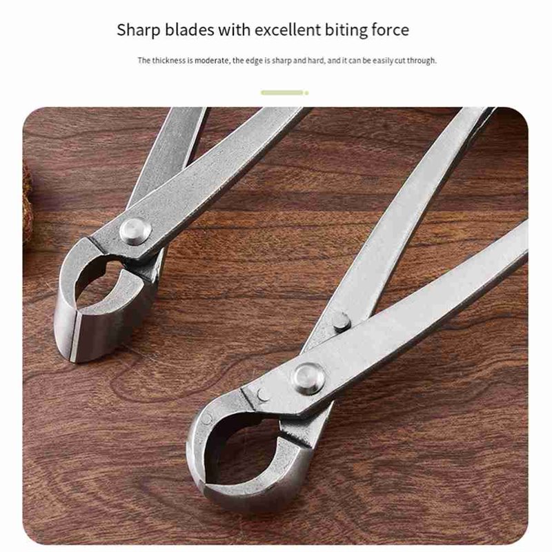 ABGH-Bonsai Gereedschapset, 4- - Root Hook Tool recensie en prijs