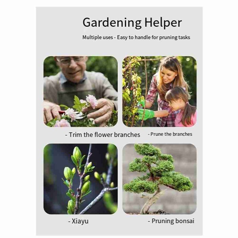 ALIM-Bonsai Gereedschapset, 4- - Root Hook Tool recensie en prijs