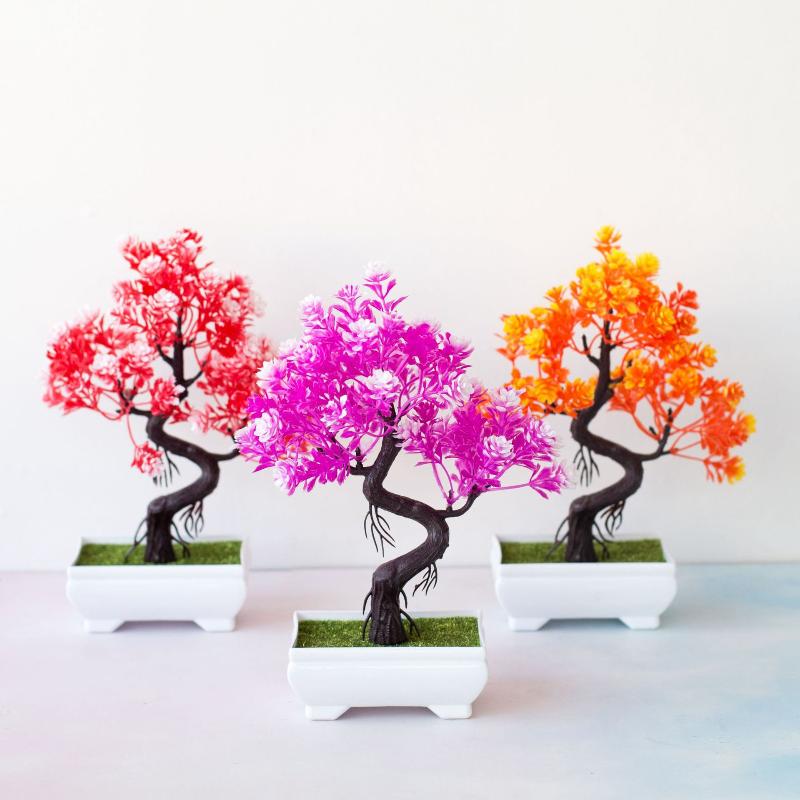 [MOA] Kleine boompot Nepplante - Bonsai Tree Zen Garden recensie en prijs