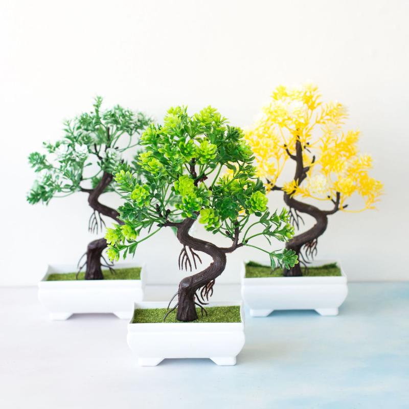 [MOA] Kleine boompot Nepplante - Bonsai Tree Zen Garden recensie en prijs