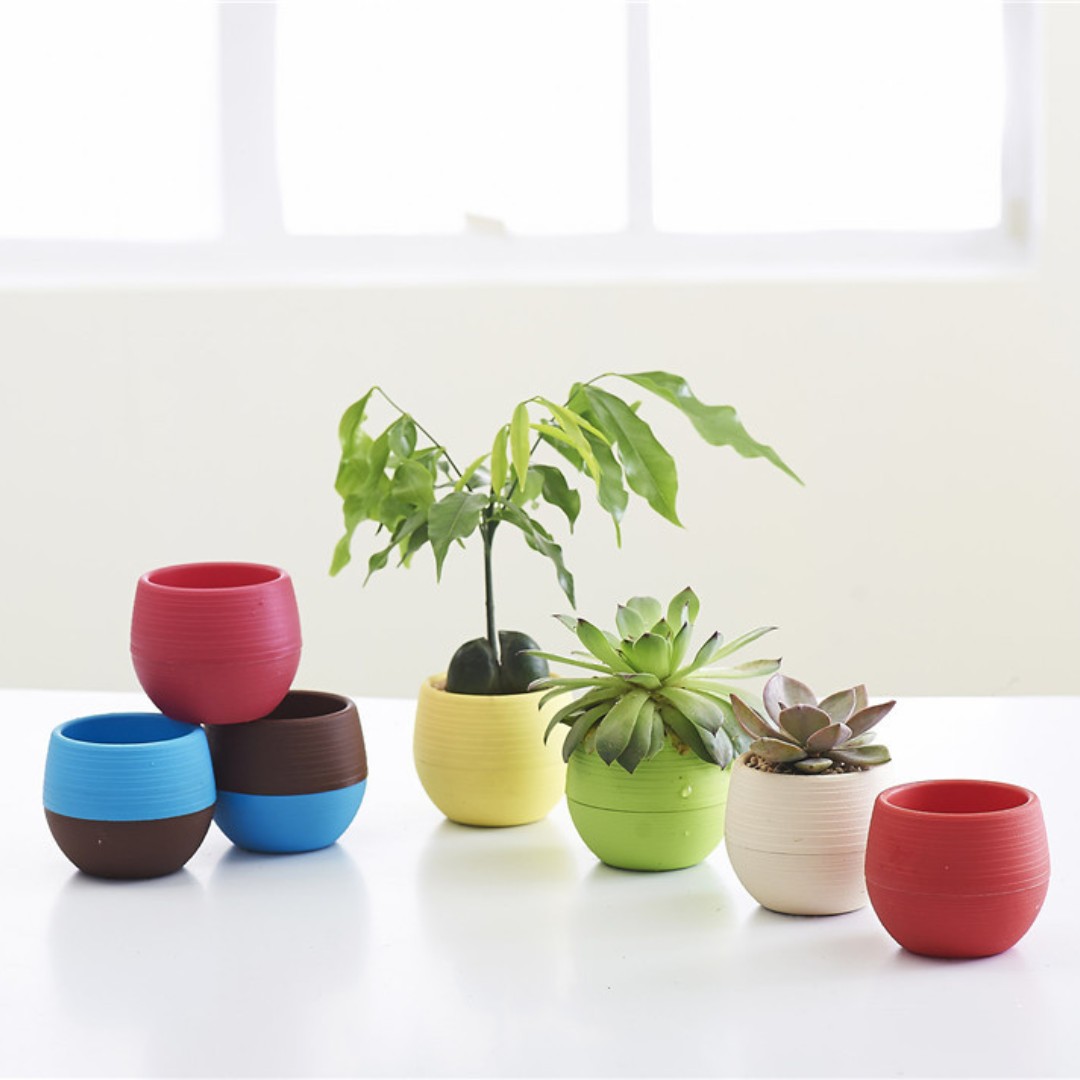 Tuinieren Mini Plastic Bloempo - Bonsai Garden Nursery recensie en prijs