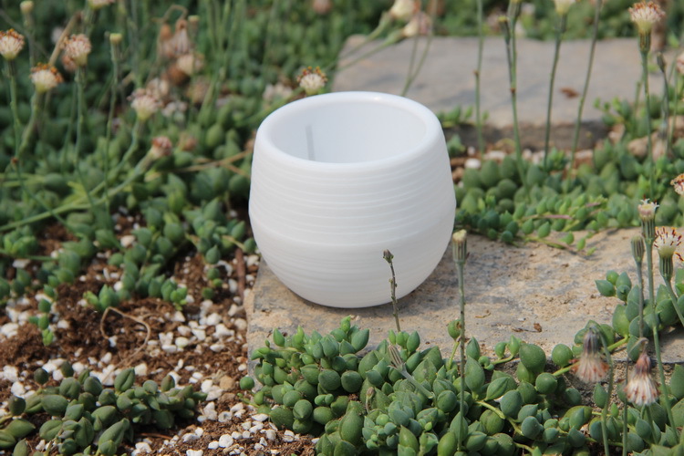 Tuinieren Mini Plastic Bloempo - Bonsai Garden Nursery recensie en prijs