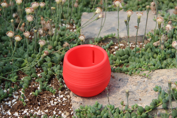 Tuinieren Mini Plastic Bloempo - Bonsai Garden Nursery recensie en prijs