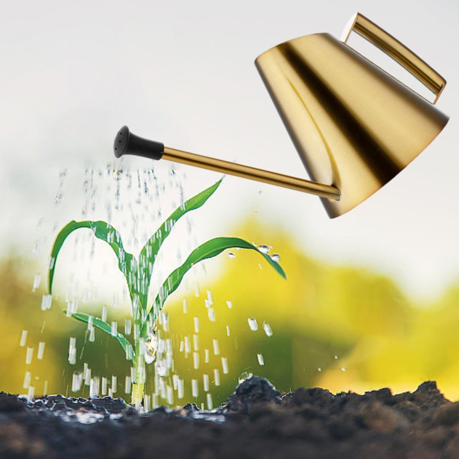 900ml Gieter Sprinklerkop Fles - Bonsai Garden Backyard recensie en prijs