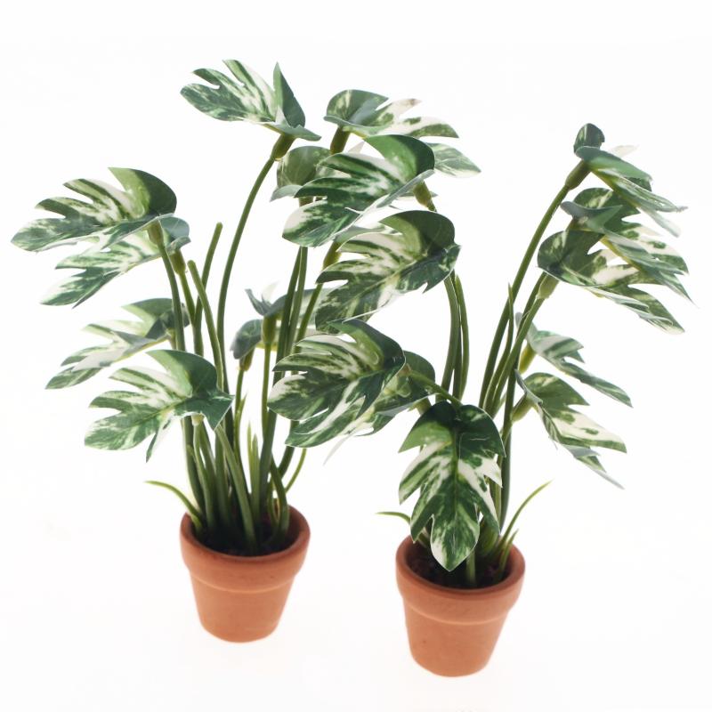 New.1PC 1/12 Poppenhuis Simula - Bonsai Garden Usa recensie en prijs