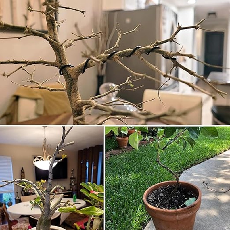 1mm Zwarte Aluminium Bonsai Dr - Bonsai Garden Art recensie en prijs