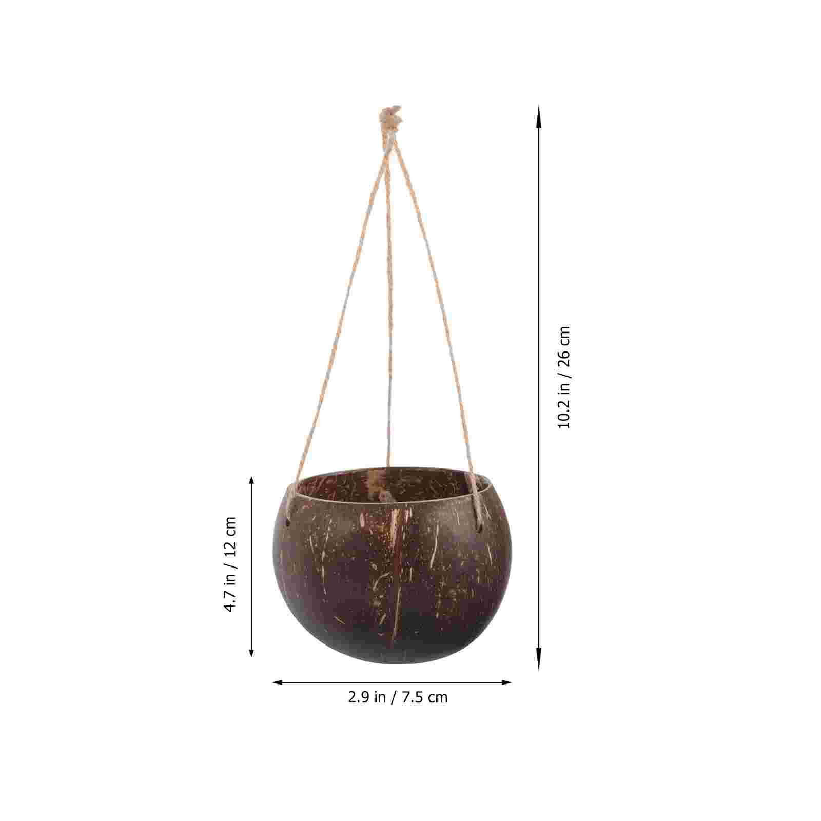 Natuurlijke kokosschaal bloemp - Bonsai Tree Zen Garden recensie en prijs