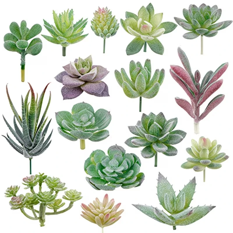 10/20 Stuks PVC Vetplanten Pla - Bonsai Garden For Home recensie en prijs