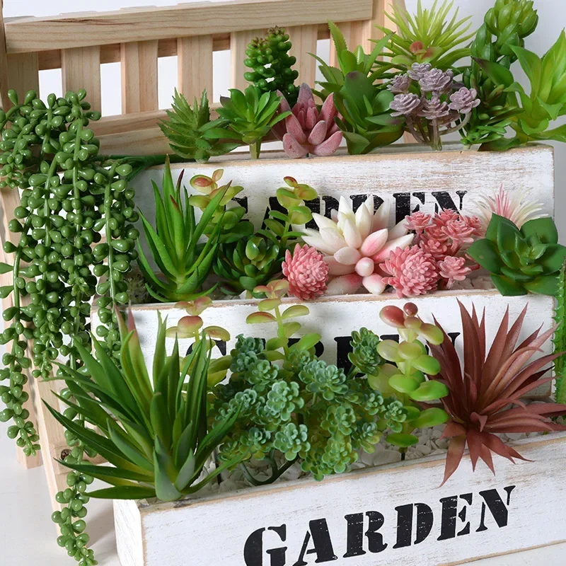 10/20 Stuks PVC Vetplanten Pla - Bonsai Garden For Home recensie en prijs