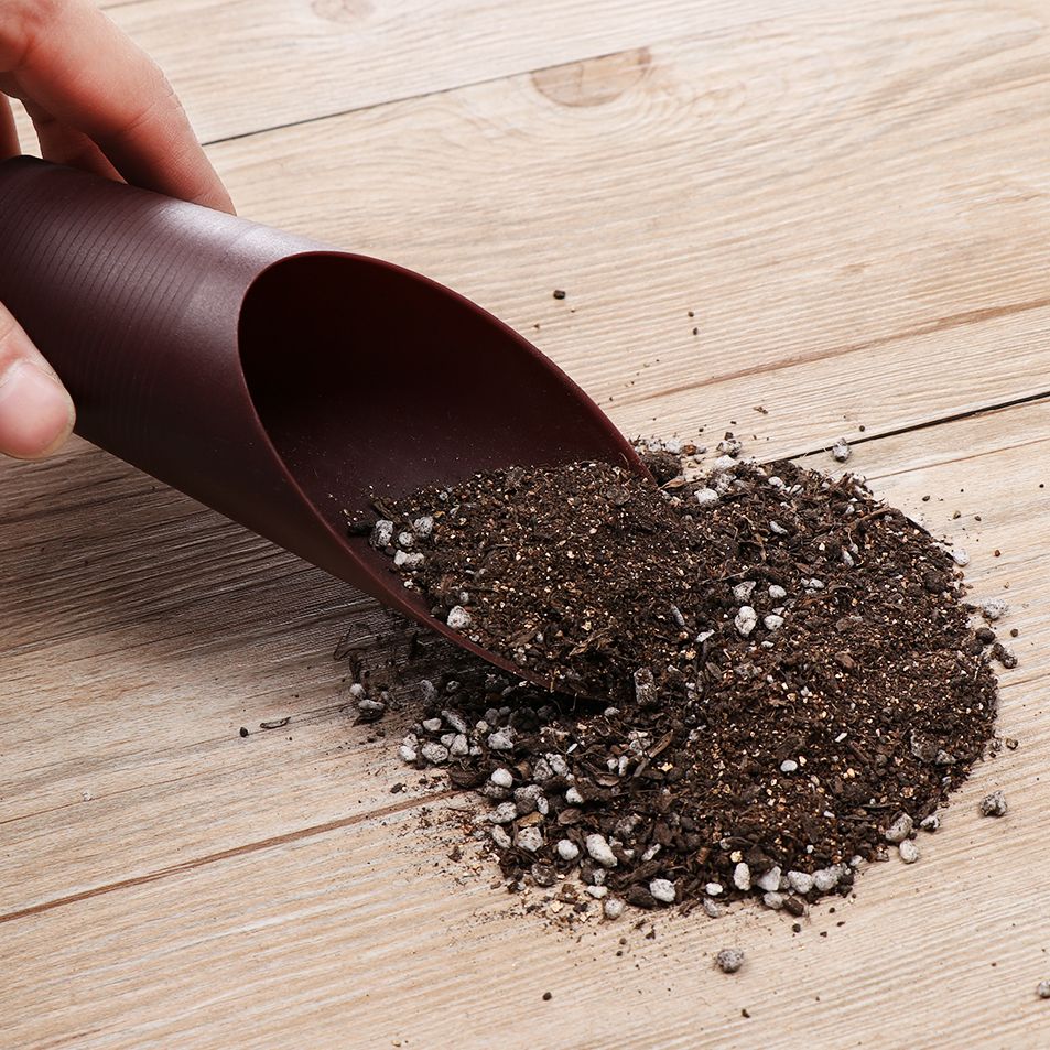 1 stuk plastic grondschepbeker - Bonsai Garden For Home recensie en prijs